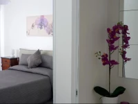 Monteleone Suite Apartment