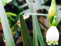 Penthouse del Pellegrino