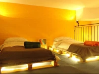 Peters Nest in Vatican + St. Peter