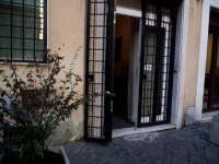 Purple Home Wisteria