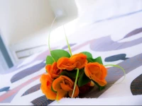 St. Peter Central Rooms B&B