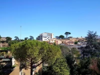 St. Peter Station Suite