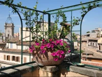 Tevererooms- Apartments in Trastevere