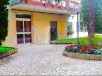 The Pope At The Window