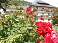 Hotel Gasthof Zur Linde