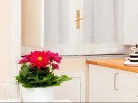 Bed And Travel Apartment