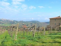 Agriturismo Il Casolare Di Bucciano