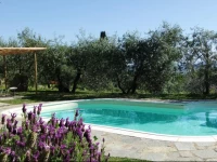 Agriturismo Il Castagnolino