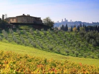 Agriturismo Montegonfoli