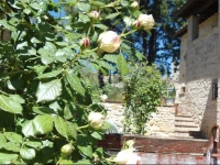 Agriturismo Sulle Orme Di Dante