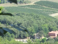 Apartment Corbezzolo