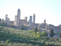 Azienda Agricola Polveraia