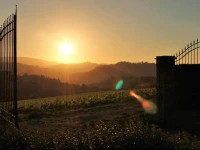 Tenuta Croce di Bibbiano