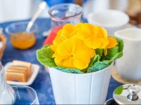 Albergo Minisoggiorno 2*