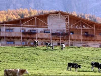 LГјch Da PД‡Г«i