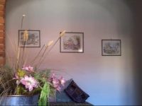 Cav Costa degli Etruschi