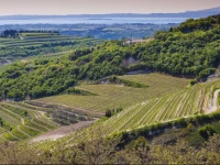 B&B Boutique Osteria della Pieve