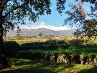 Etna tra le Querce