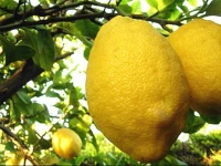 Pozzo Lazzaro Apartments