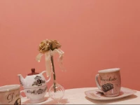 Bed and Breakfast Le Bonheur