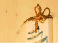 MidiГЁ B&B Savelletri