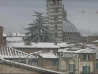 Rinidia - Siena Centro