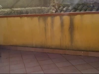 Appartamento Ortigia