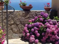 Guest House MalГ№