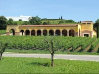 Bed&Breakfast Monte Tondo