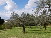 Casa di Campagna Colle Carduccio