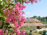 Agriturismo Da Pietro E Pina