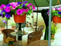 Bed and Breakfast Rosangela