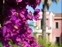 Villa Schuler Garden Suite