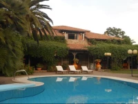 AllOmbra del Palmeto