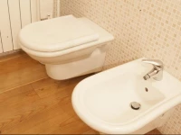 Chalet Traviolo Halldis Apartment