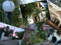 SalenTiggiano Villa Ulivi