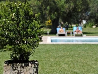 Masseria Corda Di Lana Hotel & Resort