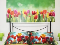 Antares Appartamenti