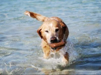 Antica Corte delle Ninfee