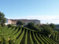 Agriturismo Finestre di Langa