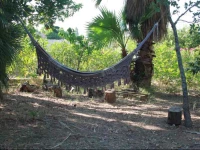 Kalinifta - Io parto Io arrivo