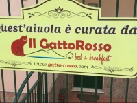 B&b Il Gatto Rosso