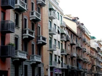 Albero della fortuna