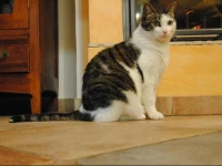 B&B la casa di Arturo