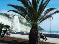 G&G - Bed & Breakfast