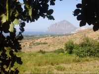 Nonnasara Bed and Breakfast