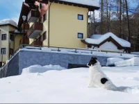 Residence Dello Stelvio