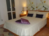 Appartamento Biennale