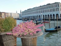 Grimaldi Apartments 2*