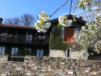 Il Ciliegio Selvatico